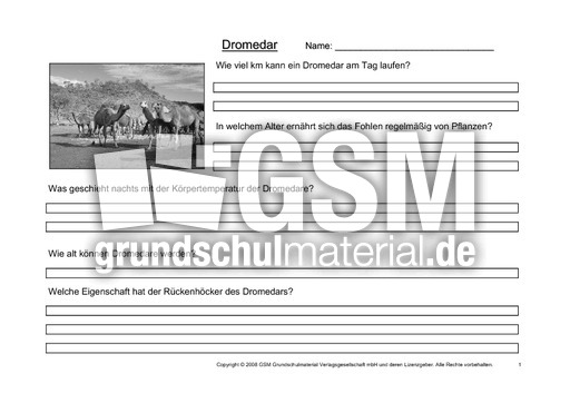 Dromedar-Fragen-1.pdf